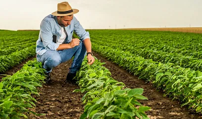 Apoyamos la agricultura del país acorde con el giro de su negocio.