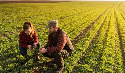 Granjeros trabajando en el campo.