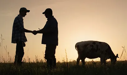 Impulsar negocios de agricultura gracias al Banco Pichincha.